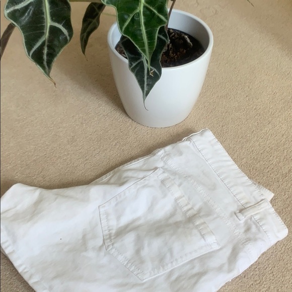 🦋 cute white high wasted shorts - Picture 4 of 4